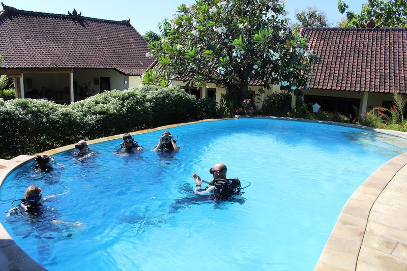 ocean sun dive resort