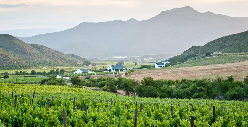orange grove farm