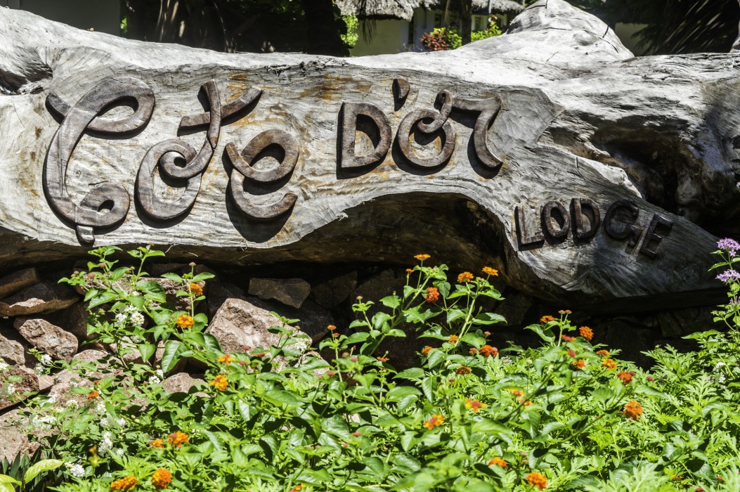 hotel cote dor lodge