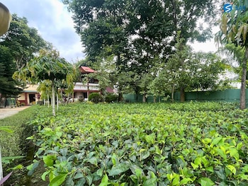 say resort morning glory
