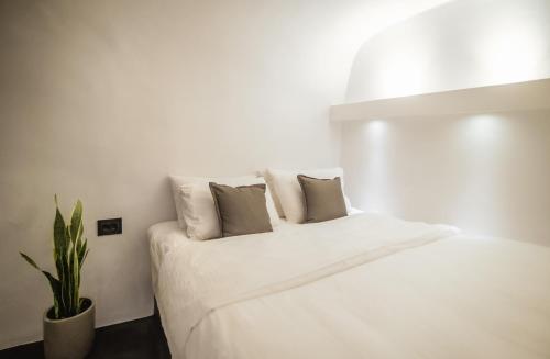 one of one suites