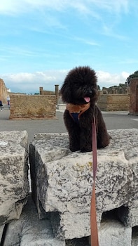 pompei