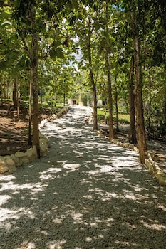 hotel banyan doradal