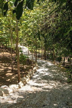 hotel banyan doradal