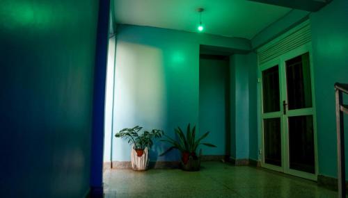 jd luxury hotel