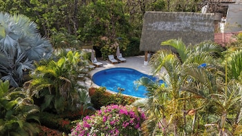 serena nosara beach retreat