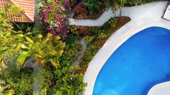 serena nosara beach retreat