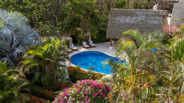 serena nosara beach retreat