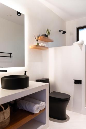 serena nosara beach retreat