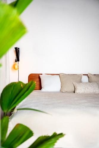 serena nosara beach retreat