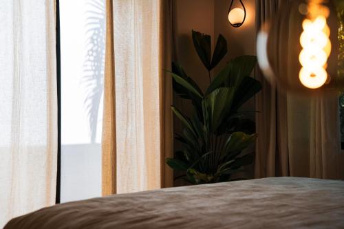serena nosara beach retreat