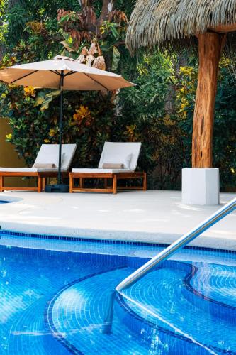 serena nosara beach retreat
