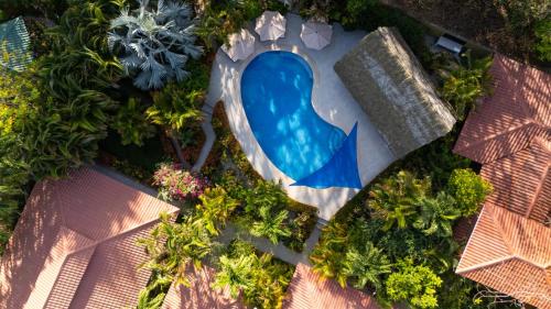 serena nosara beach retreat