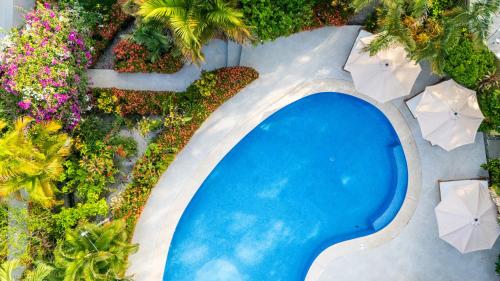 serena nosara beach retreat