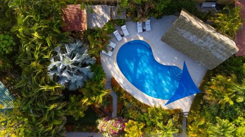 serena nosara beach retreat