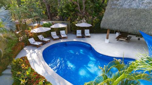 serena nosara beach retreat