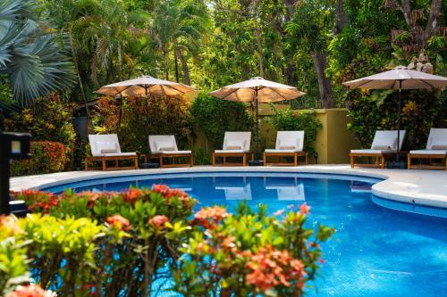 serena nosara beach retreat