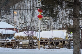 xuegu xuefu lai inn