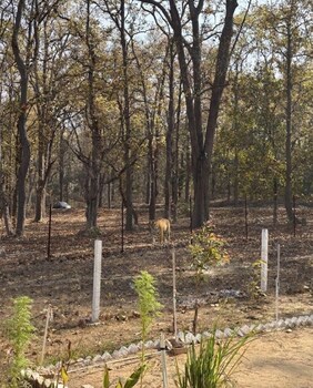 the tigers hill retreat