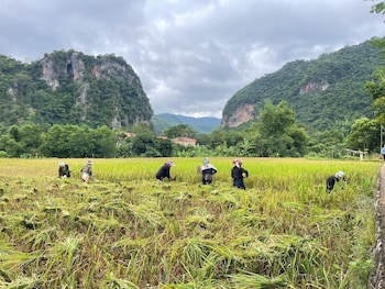 Mai Chau Boutique Hotel & Resort,,3 star
