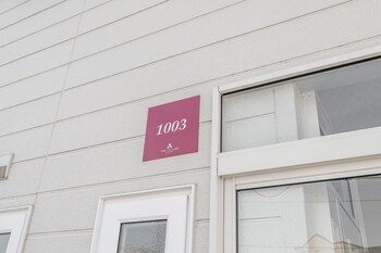 the village 1003