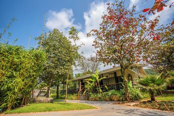 elivaas energise soul retreat