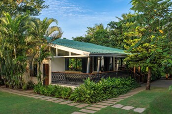 elivaas energise soul retreat