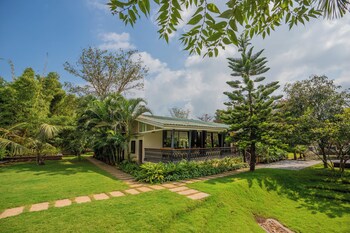 elivaas energise soul retreat
