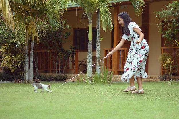 alona42 resort