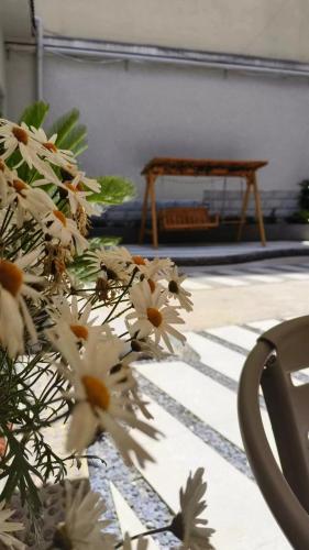 ancient city district ai shan hotel