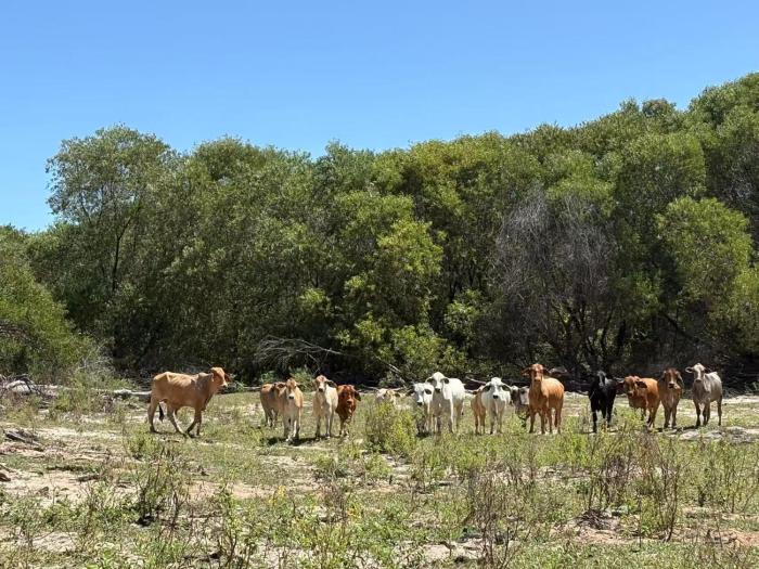 sunshine gardens farmstay