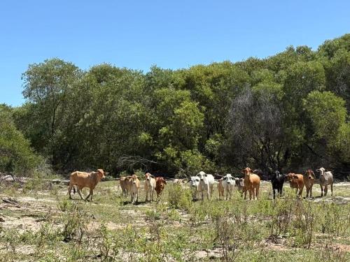 sunshine gardens farmstay