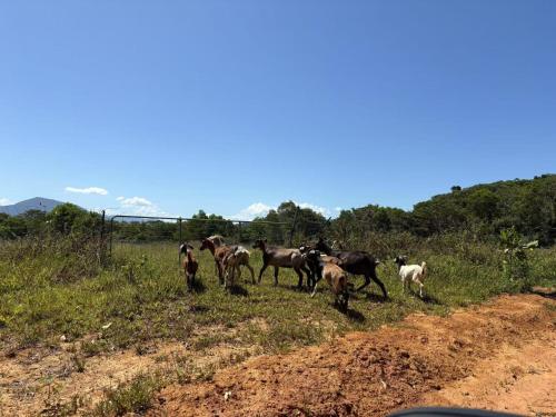 sunshine gardens farmstay