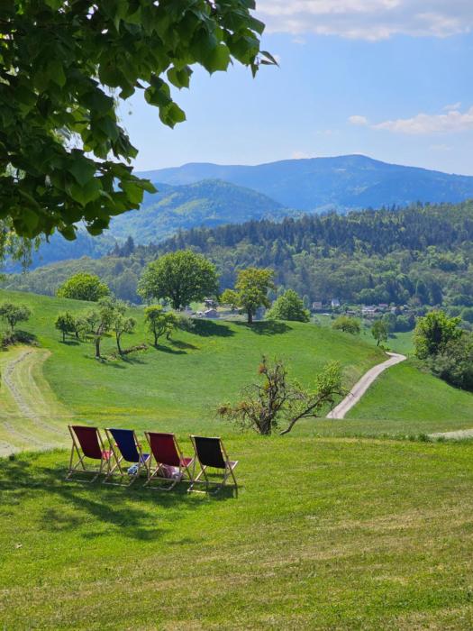 domaine le h