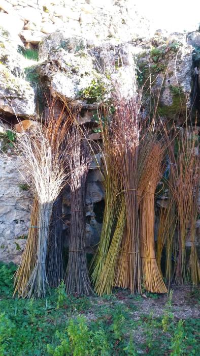 loseraie du quercy