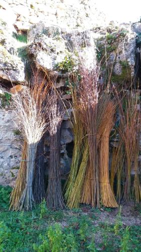 loseraie du quercy