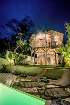 moonlit jungle