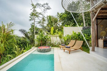 Moonlit Jungle,,5 star