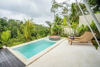 moonlit jungle