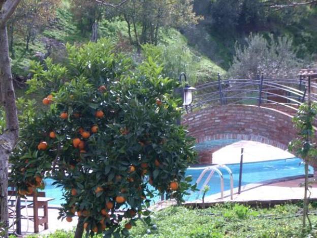 azienda agrituristica bergi