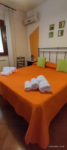 azienda agrituristica bergi