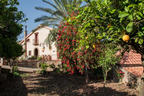 azienda agrituristica bergi