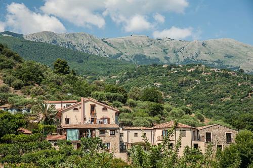azienda agrituristica bergi