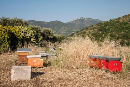 azienda agrituristica bergi
