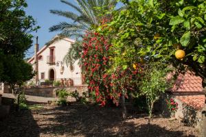 azienda agrituristica bergi