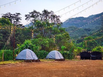 the meadows resorts