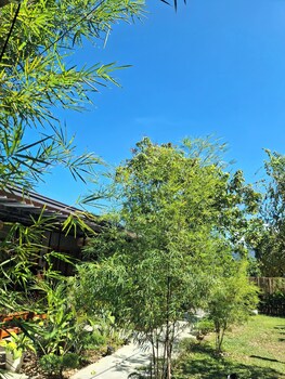 casa nacpan