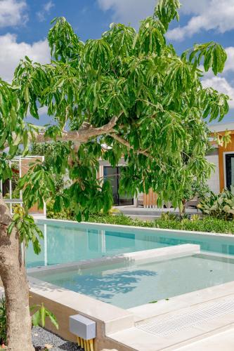 zana villas