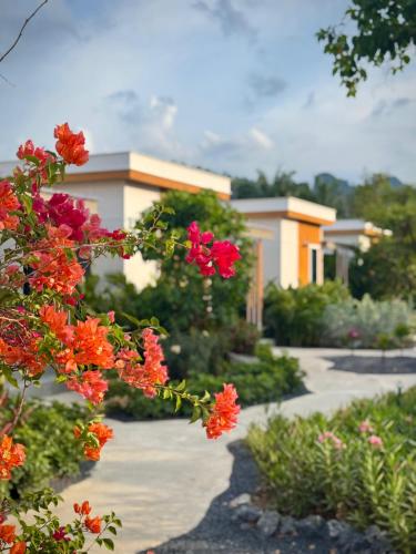zana villas