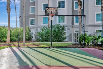 8303 palm disney